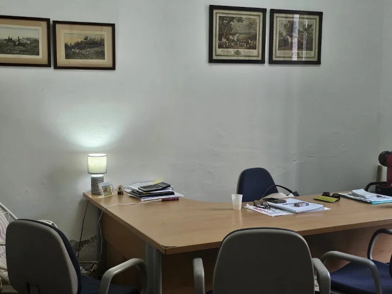 Inmobiliaria Adela Masot