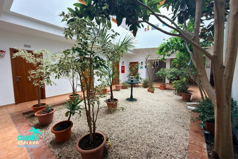 Hotel | Oasis Atalaya | Conil