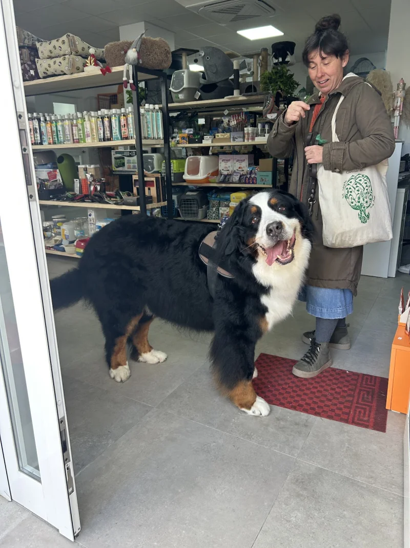 Peluson peluquería con amor