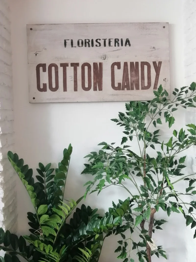Floristería Cotton Candy