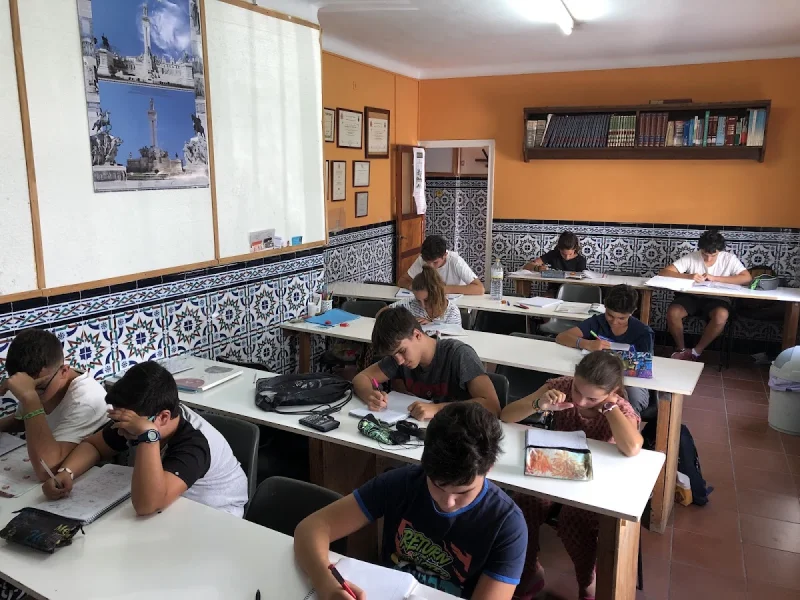 Academia Milen
