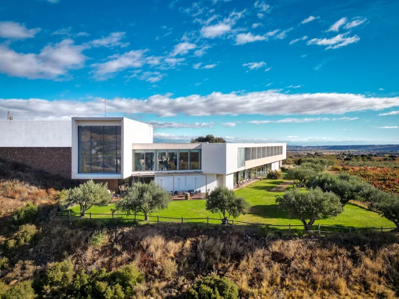 Finca de los Arandinos Bodega | Hotel