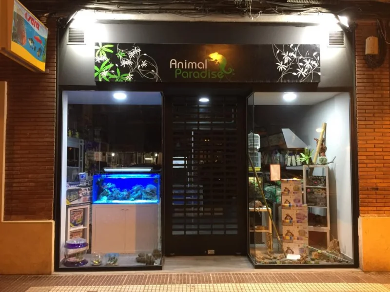 Animal Paradise