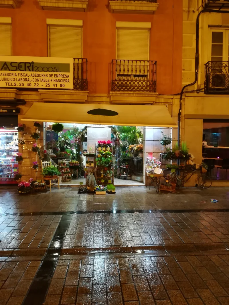 Decoflor