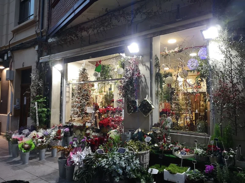 FELIÑARÁN floristas