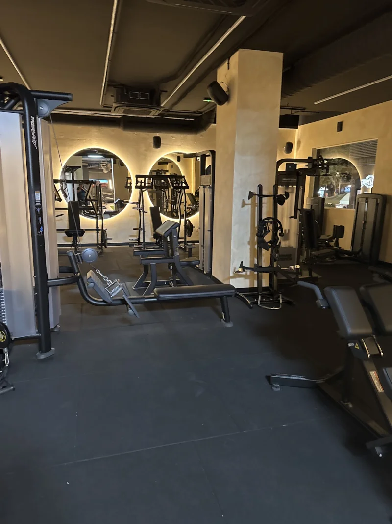 Vexus Gym Boutique Premium