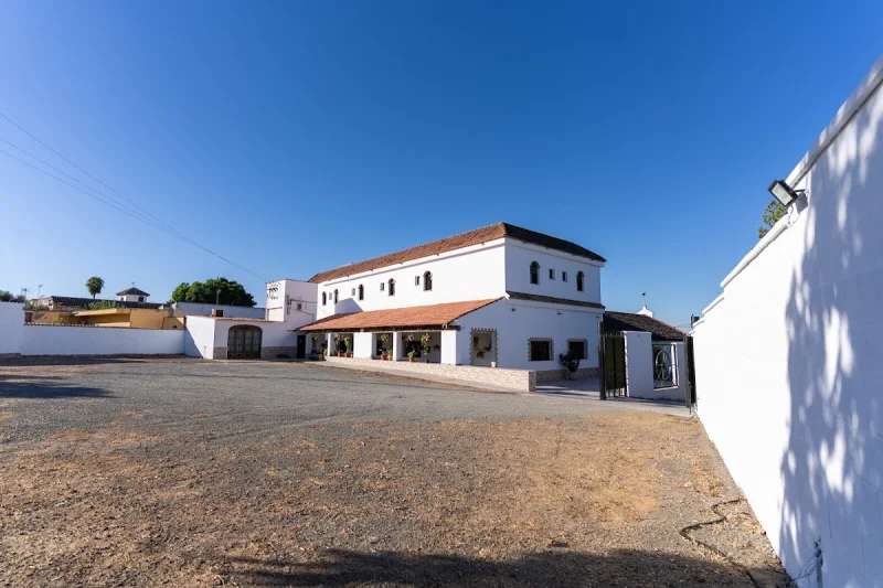 Casa cortijo olivar