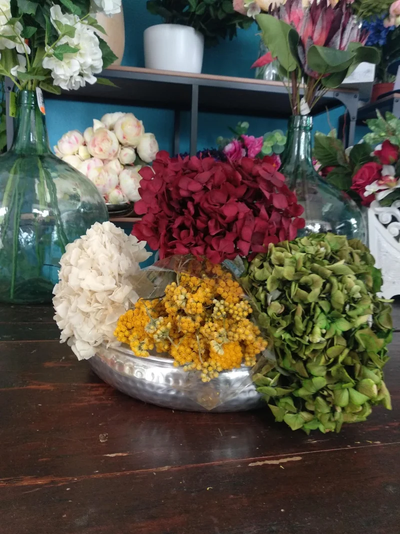 FLORISTERIA VERDELIMON