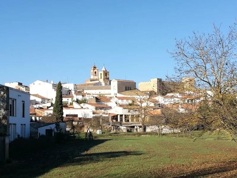 C E I P Arias Montano