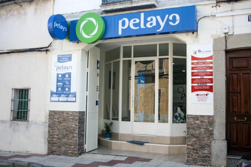 Oficina Seguros Pelayo