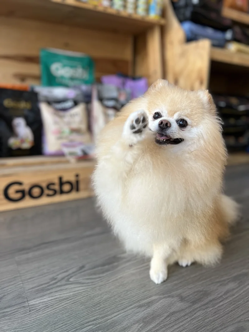 Fluf Pet Shop and Spa
