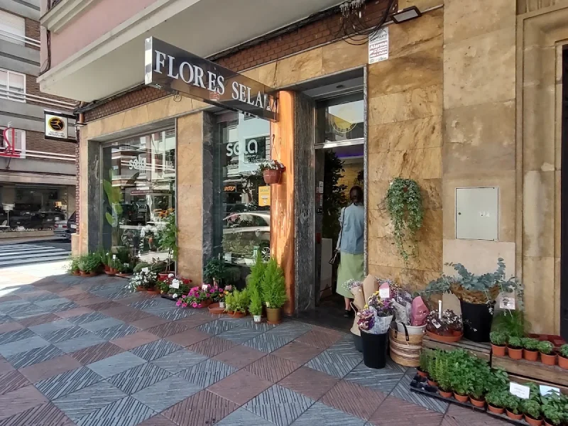 Flores Sela - León