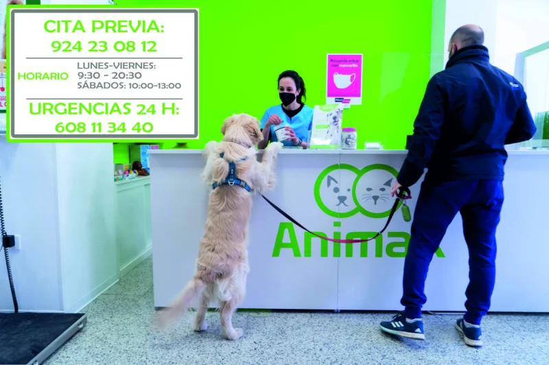 Animax Clínica Veterinaria