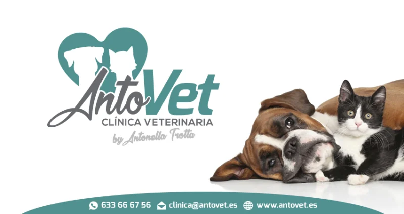 Antovet Clínica Veterinaria
