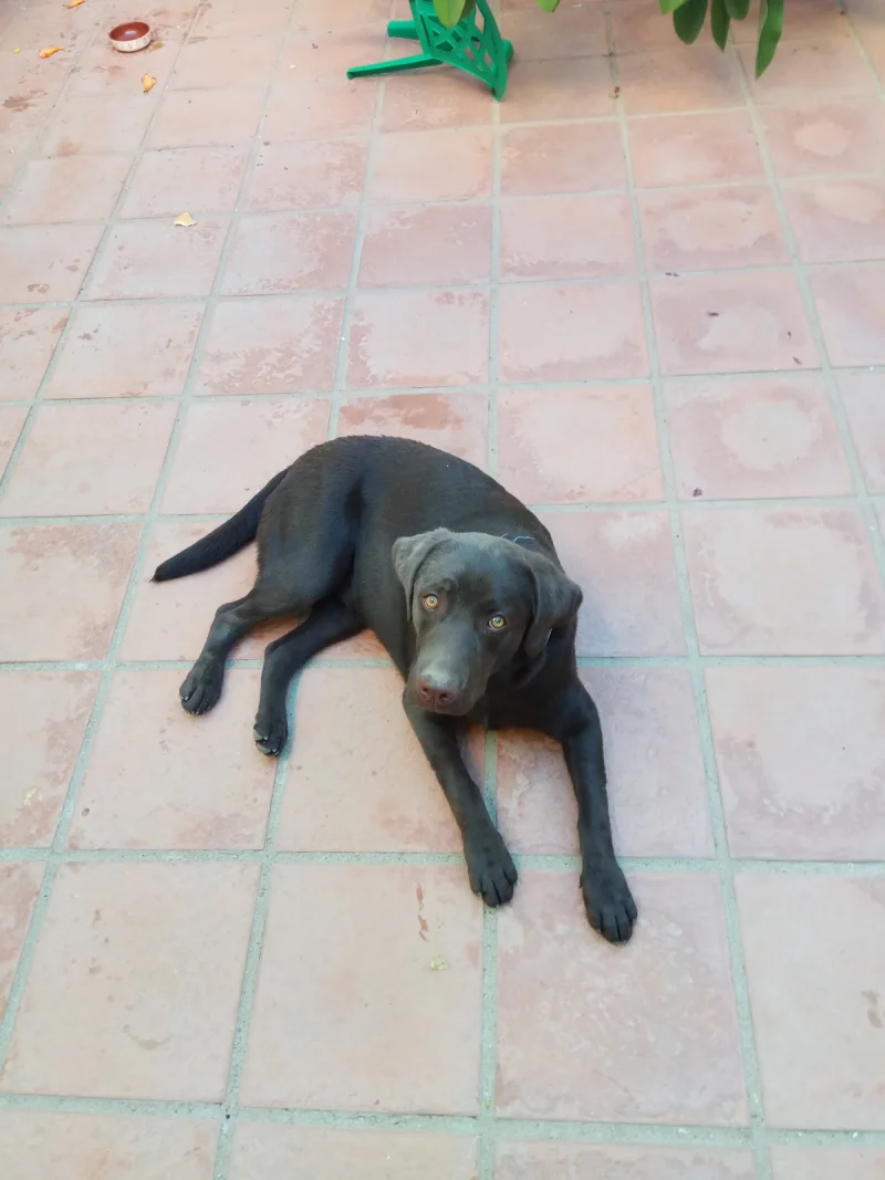 Oficina Veterinaria de Zona de Jerez de los Caballeros