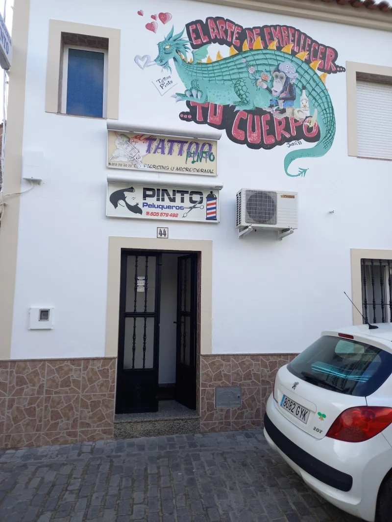Pinto peluqueros